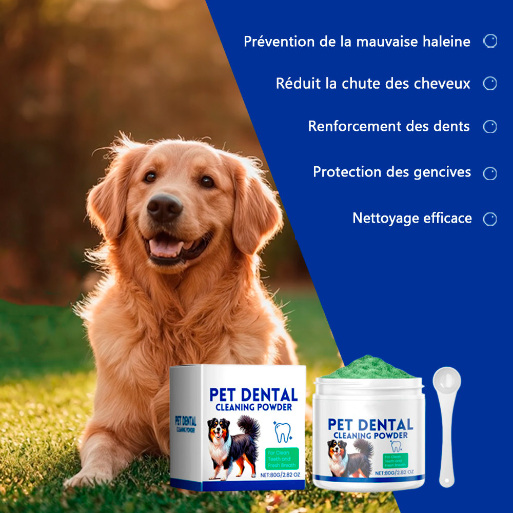 Poudre de Nettoyage Dentaire